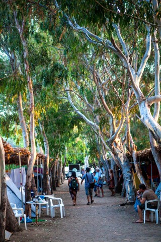 willows maragas camping naxos