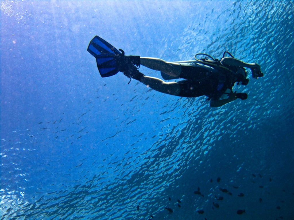 naxos-diving