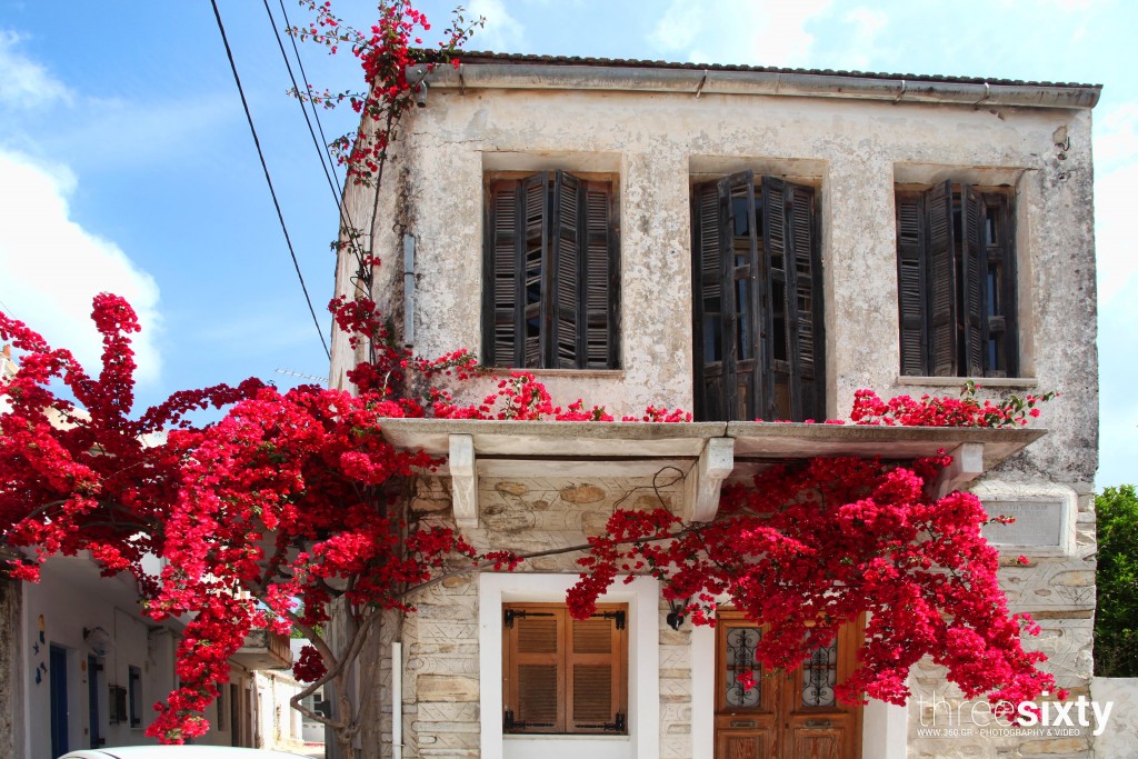 naxos-halki